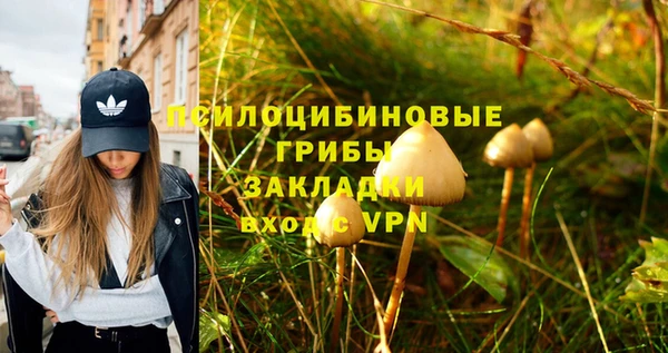 гидропоника Зерноград