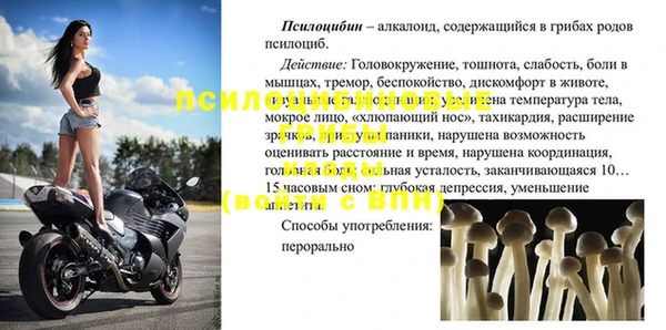 сатива Заволжье