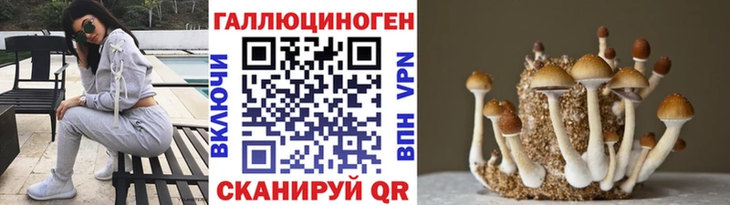 цена наркотик  Бердск  гидра ONION  Псилоцибиновые грибы ЛСД 